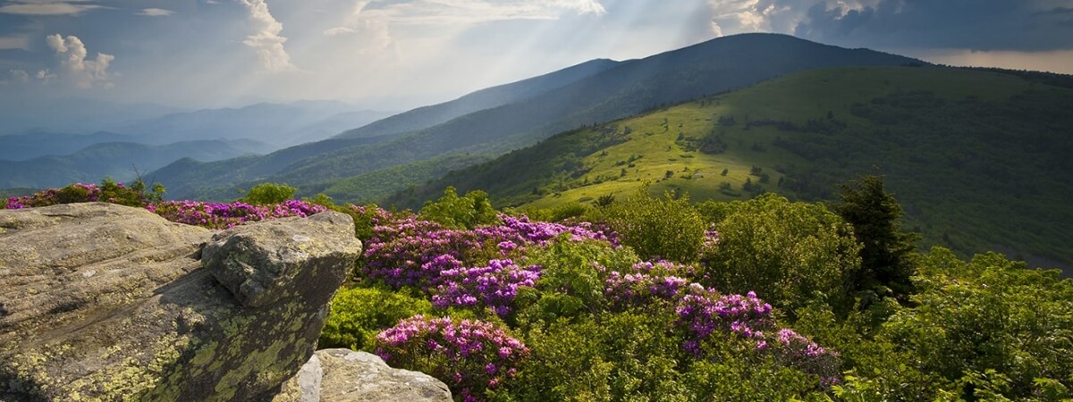 Appalachian Mountains, East Coast for Jeep Patriot